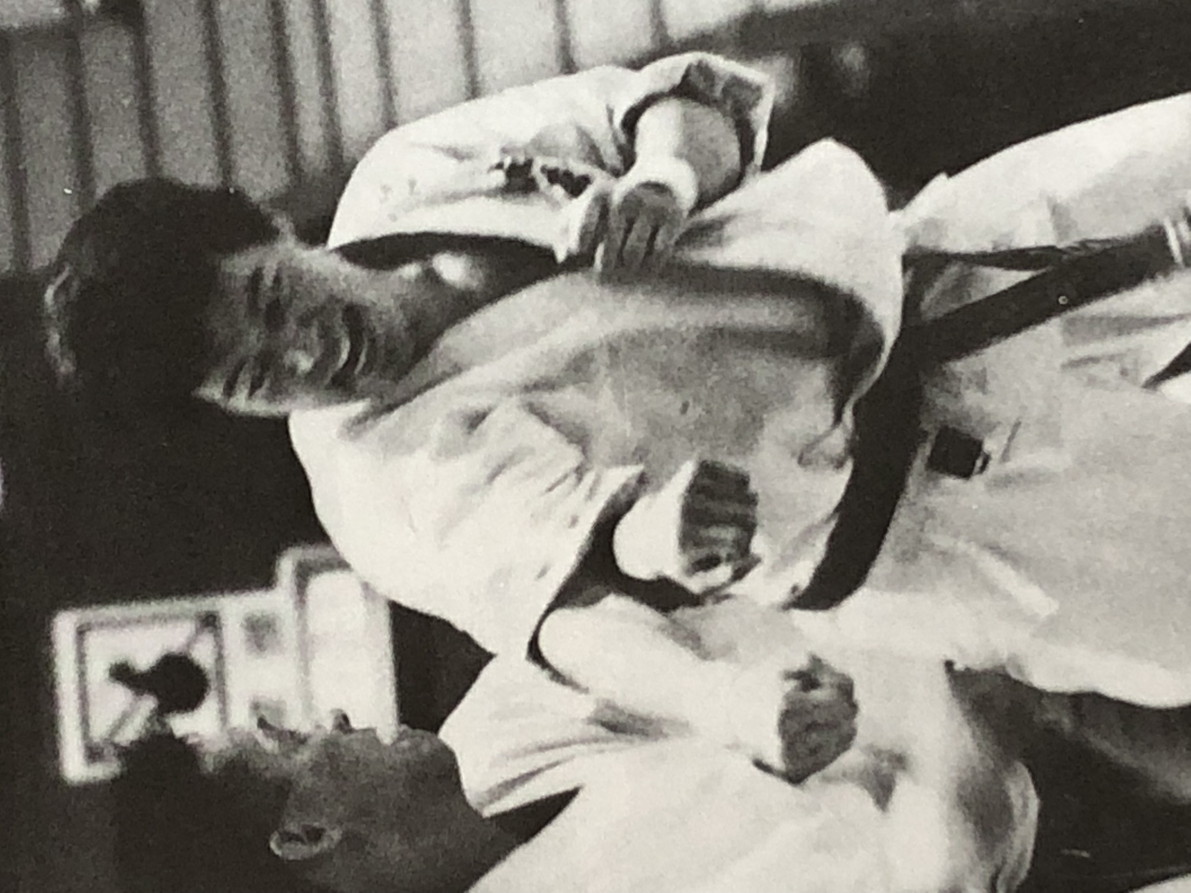 試合の写真